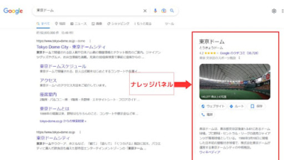 Googleナレッジパネル